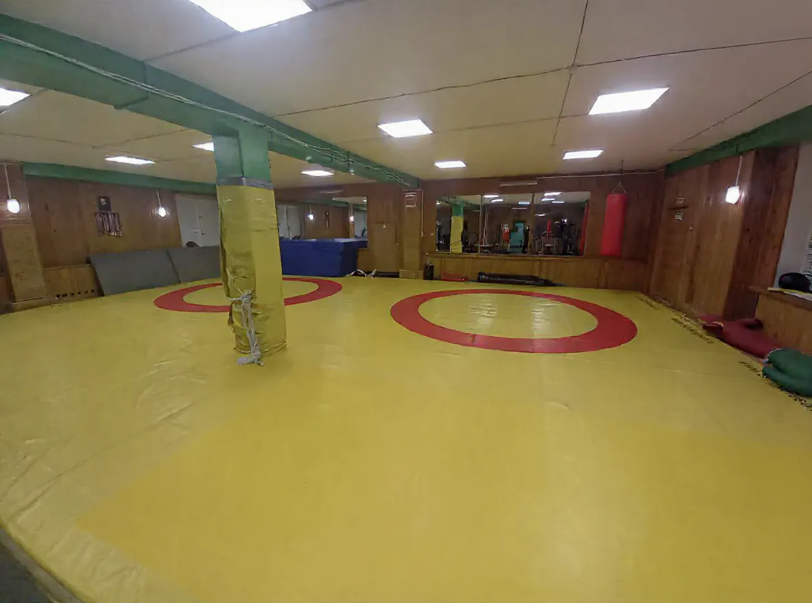 буревестник